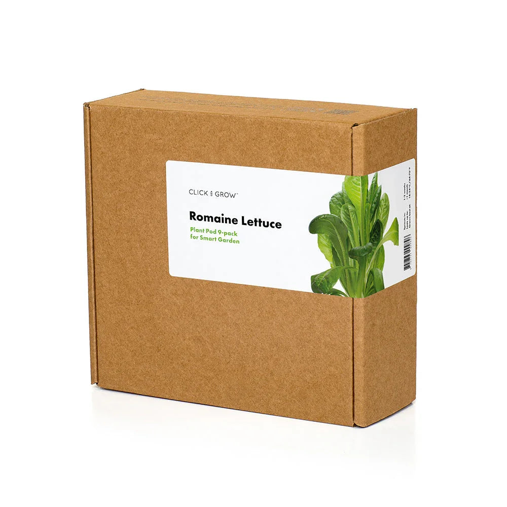 Pflanzkapsel-Set Römersalat im Karton, 3er-Pack
