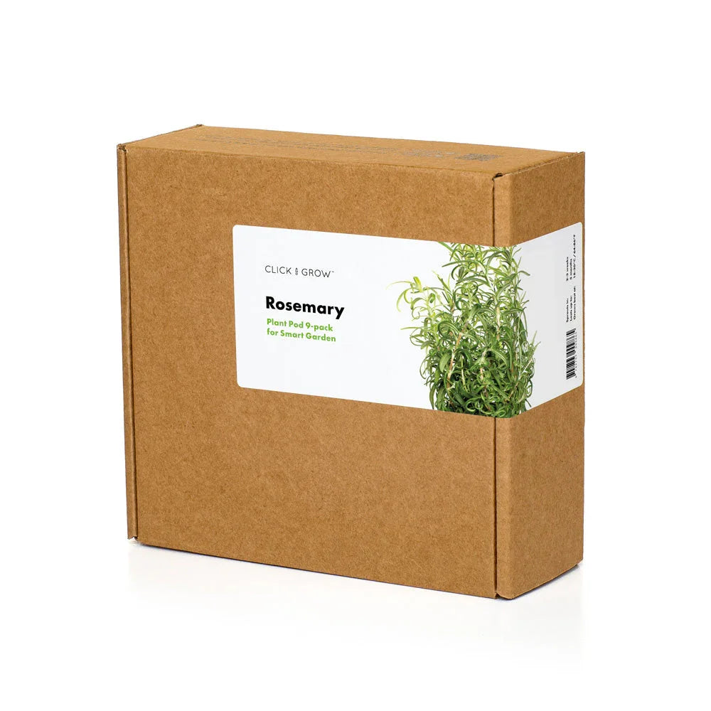 Rosmarin Pflanzkapseln, 3er-Pack, Versandkarton