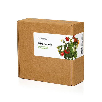 Mini-Tomaten 3er-Pack in brauner Kartonbox