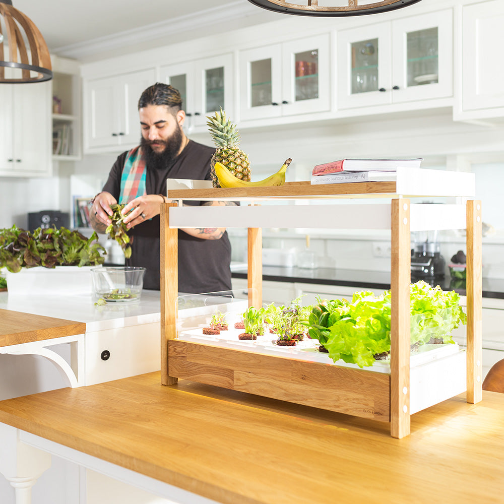 Click & grow 25 Indoor Kräutergarten Szene Küche Mann